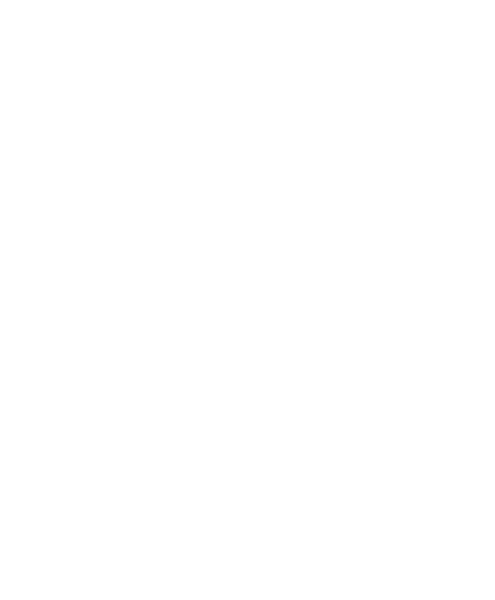 Лого Фомина